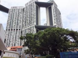 Blk 1D The Pinnacle@Duxton (Bukit Merah), HDB 4 Rooms #131881152